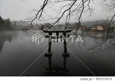 金鱗湖 朝霞 朝靄 99335024