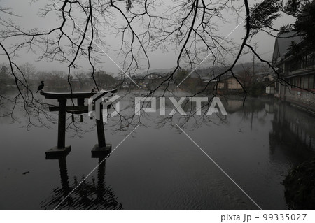 金鱗湖 朝霞 朝靄 99335027