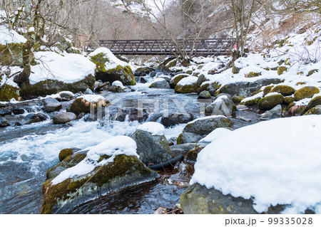 「山梨県」冬の川俣渓谷 99335028