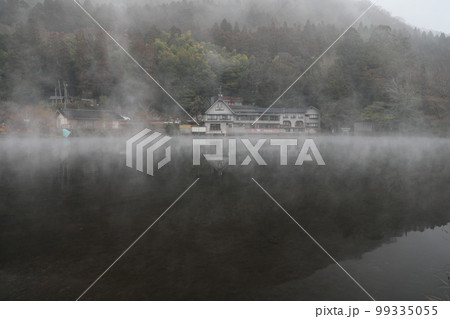 金鱗湖 朝霞 朝靄 99335055
