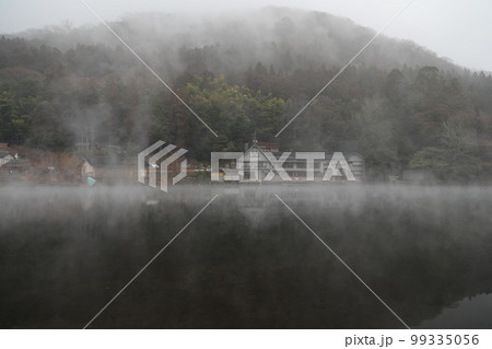 金鱗湖 朝霞 朝靄 99335056