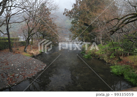 金鱗湖 朝霞 朝靄 99335059