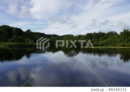 Peleliu (or Beliliou) is an island in the island nation of Palau. Peleliu, along with two small islands to its northeast, forms one of the sixteen states of Palau. The island is notable as the locatio Peleliu (or Beliliou) is an island in the island nation of Palau. Peleliu, along with two small islands to its northeast, forms one of the sixteen states of Palau. The island is notable as the locatio 99336135