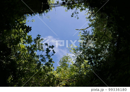 Peleliu (or Beliliou) is an island in the island nation of Palau. Peleliu, along with two small islands to its northeast, forms one of the sixteen states of Palau. The island is notable as the locatio Peleliu (or Beliliou) is an island in the island nation of Palau. Peleliu, along with two small islands to its northeast, forms one of the sixteen states of Palau. The island is notable as the locatio 99336180