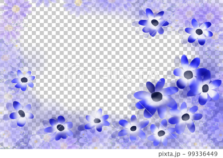 瓜葉菊 (cineraria) 框架 99336449