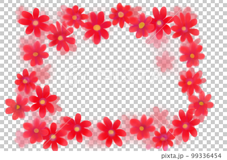 瓜葉菊 (cineraria) 紅框 瓜葉菊 (cineraria) 紅框 99336454