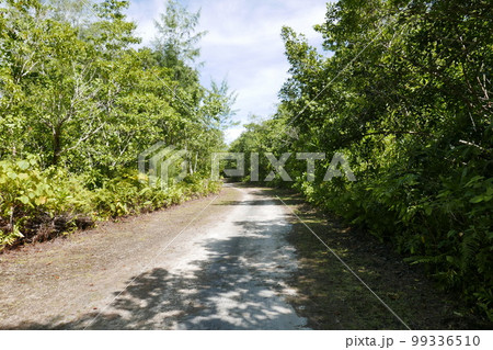Peleliu (or Beliliou) is an island in the island nation of Palau. Peleliu, along with two small islands to its northeast, forms one of the sixteen states of Palau. The island is notable as the locatio Peleliu (or Beliliou) is an island in the island nation of Palau. Peleliu, along with two small islands to its northeast, forms one of the sixteen states of Palau. The island is notable as the locatio 99336510