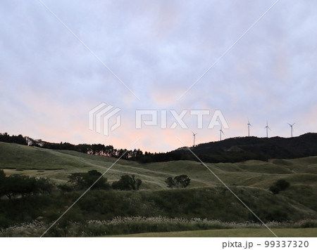 夕暮れの稲取細野高原のススキ 夕暮れの稲取細野高原のススキ 99337320