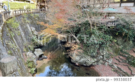 兵庫県箕面の滝を求めて滝道で紅葉を楽しむ 99338037