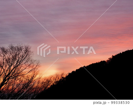 山林の夕暮れ　マジックアワー 99338530