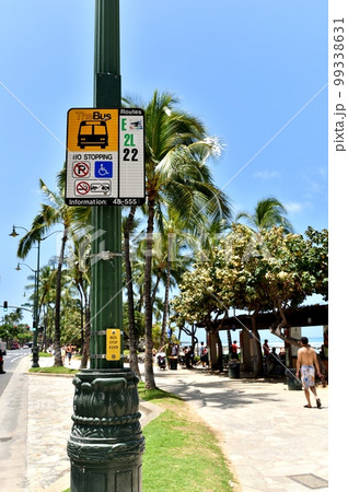 ハワイの休日 99338631