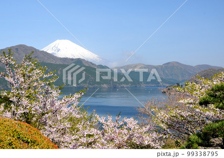 箱根芦ノ湖から見た富士山 箱根芦ノ湖から見た富士山 99338795