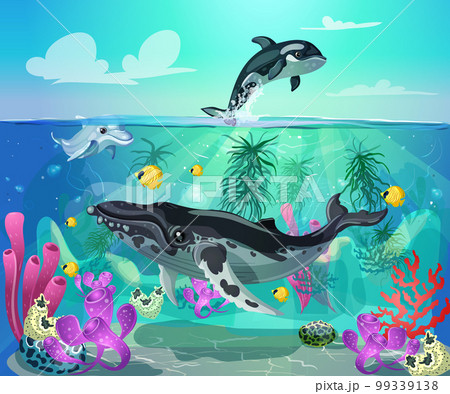 Cartoon Colorful Sea Life Background Cartoon Colorful Sea Life Background 99339138