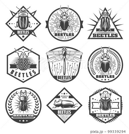Vintage Monochrome Beetles Premium Labels Set Vintage Monochrome Beetles Premium Labels Set 99339294