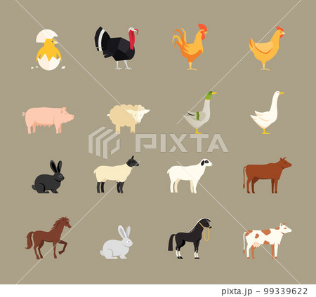 Farm animals set in flat style Farm animals set in flat style 99339622
