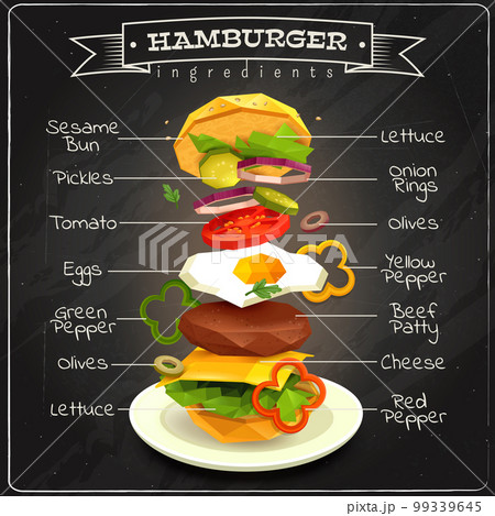 Hamburger Ingredients Infographics 99339645