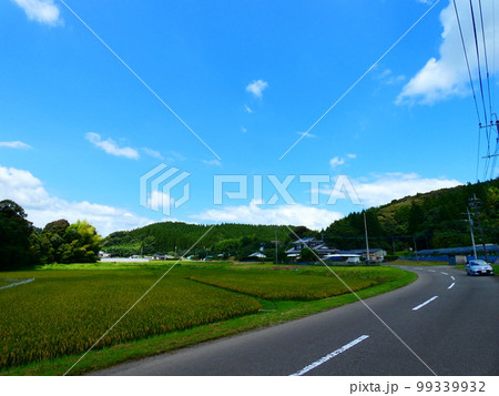 青い空と青い海と公園 99339932