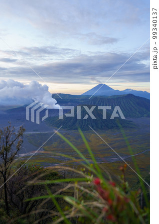 夜明けのブロモ山（ジャワ島東部キングコングヒルより） 99340137