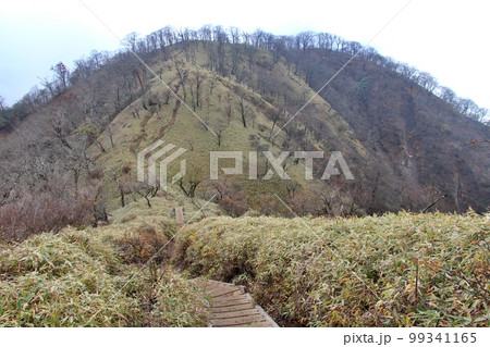 丹沢山山頂 99341165