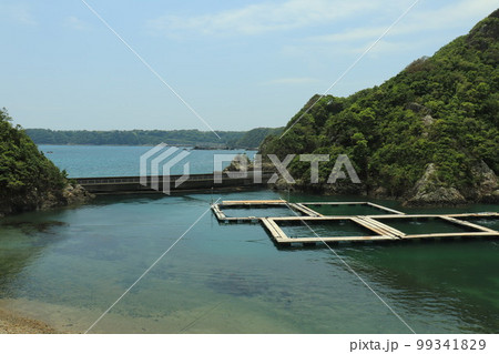 和歌山県太地町くじら博物館 99341829