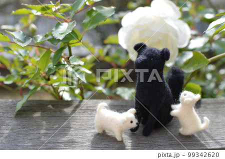 庭に咲く白いバラと羊毛フェルトの犬　　　 　 99342620