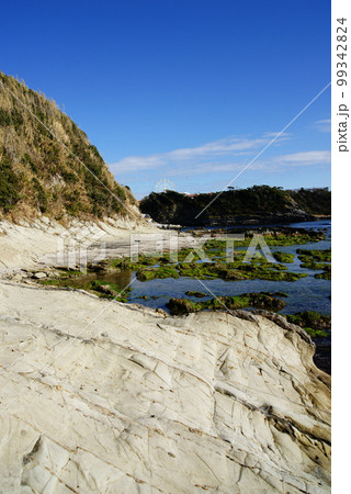 横須賀市 ソレイユの丘と荒崎・潮騒のみち 横須賀市 ソレイユの丘と荒崎・潮騒のみち 99342824