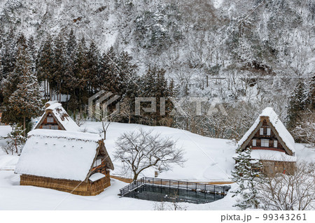 五箇山　菅沼合掌造り集落　雪景色 99343261