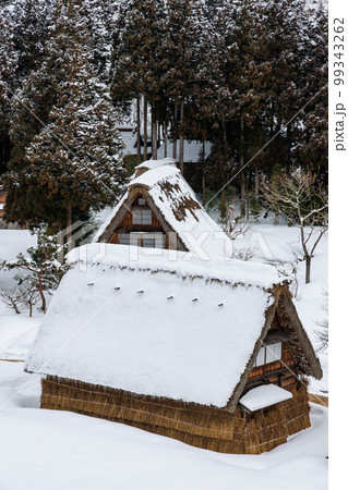 五箇山　菅沼合掌造り集落　雪景色 99343262