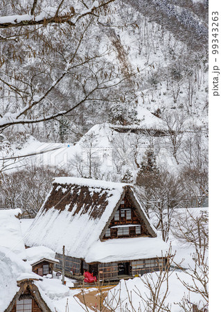 五箇山　菅沼合掌造り集落　雪景色 99343263