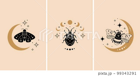 Boho celestial butterfly, bee and bug vector illustration set. Black magic insect Boho celestial butterfly, bee and bug vector illustration set. Black magic insect 99343291