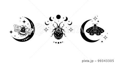 Celestial butterfly, bee and bug vector illustration set. Black silhouette. Magic insect Celestial butterfly, bee and bug vector illustration set. Black silhouette. Magic insect 99343305
