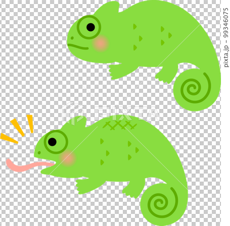 緑色のカメレオン 緑色のカメレオン 99346075