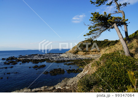 横須賀市立 荒崎公園 「潮風の丘」 99347064