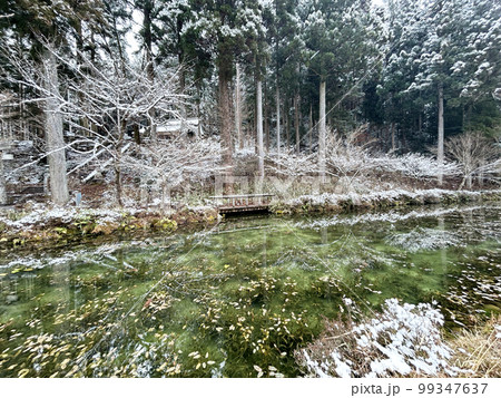 モネの池の雪景色 99347637