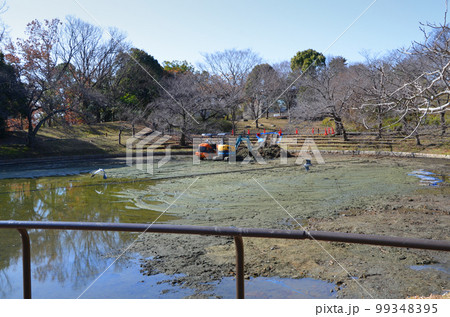 清掃作業のために水が抜かれた池 清掃作業のために水が抜かれた池 99348395