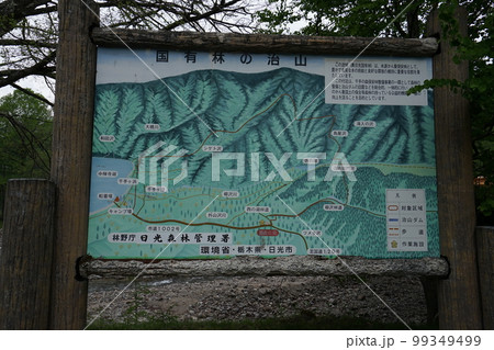 日光市中禅寺湖　バス停留所の西ノ湖入口付近にある案内板　　2019年6月2日 99349499