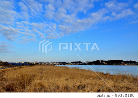 千葉県　手賀沼　手賀大橋の風景 99350180