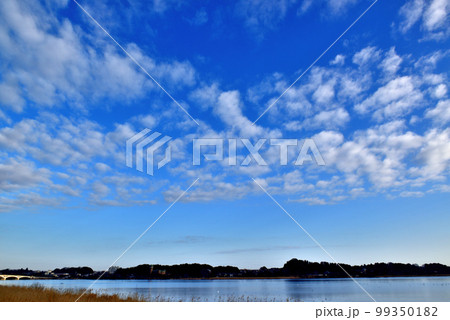 千葉県　手賀沼　手賀大橋の風景 99350182
