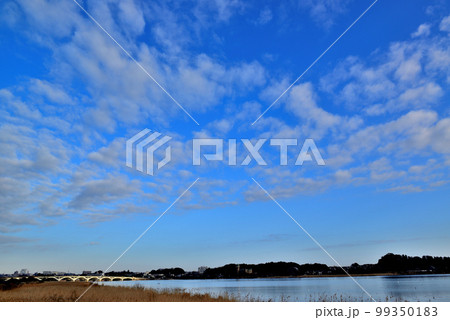 千葉県　手賀沼　手賀大橋の風景 99350183