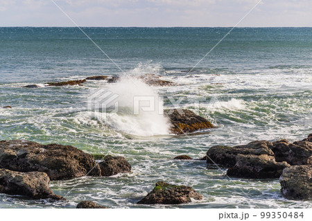 大洗海岸（茨城県） 99350484