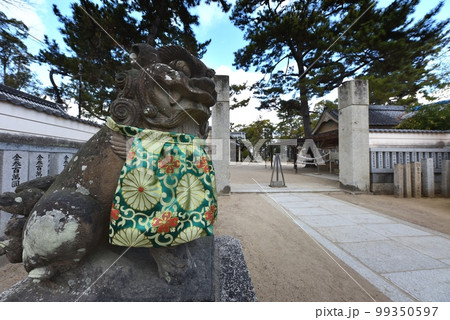 猪名野神社 吽形の雌獅子 伊丹市 猪名野神社 吽形の雌獅子 伊丹市 99350597