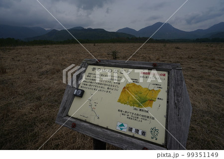 日光市　戦場ケ原　湯滝から赤沼に向かう遊歩道にある説明板　　　2019年6月2日 99351149