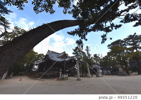 猪名野神社 伊丹市 猪名野神社 伊丹市 99351220