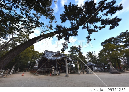 猪名野神社　伊丹市 99351222
