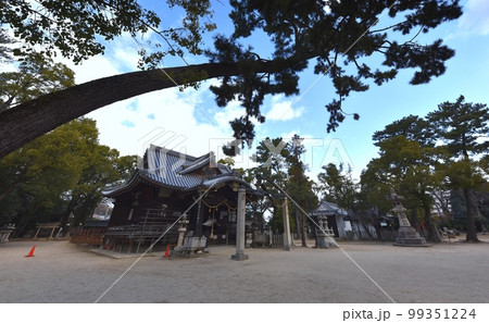 猪名野神社　伊丹市 99351224