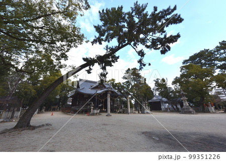 猪名野神社 伊丹市 猪名野神社 伊丹市 99351226