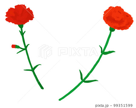 手描きの赤いカーネーションとスプレーカーネーションカーネーションとのセット 99351599
