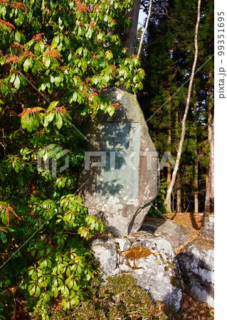 三峯神社　神社　秩父三社　石碑 99351695