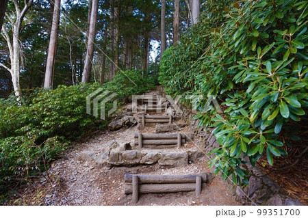 三峯神社 神社 秩父三社 遠宮 御仮屋 階段 三峯神社 神社 秩父三社 遠宮 御仮屋 階段 99351700