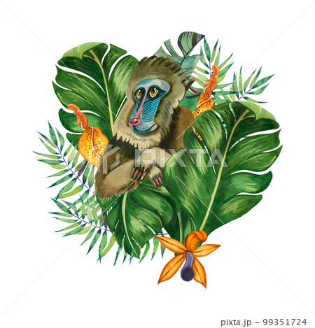 Jungle. Watercolor composition with monkey and tropical leaves and flowers on a white background. All elements are hand-drawn in watercolor on a white background. For printing on fabric, for children Jungle. Watercolor composition with monkey and tropical leaves and flowers on a white background. All elements are hand-drawn in watercolor on a white background. For printing on fabric, for children 99351724